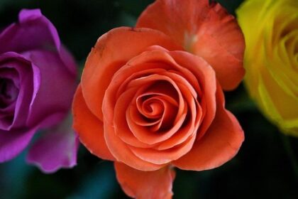 Jon Stewart Delivers Hilarious Take Down of Trump’s Outrageous Claim!