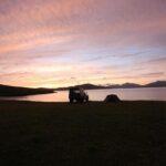 Harris Accused of Spreading ‘Blatant Lies’ in Bid to Boost Book Sales and Protect Her Reputation