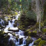 North Carolina Senator Unblocks DHS Nominees Following Approval of FEMA Funds for His State