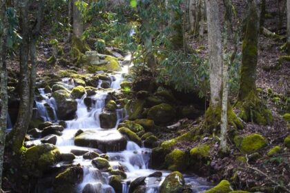 North Carolina Senator Unblocks DHS Nominees Following Approval of FEMA Funds for His State