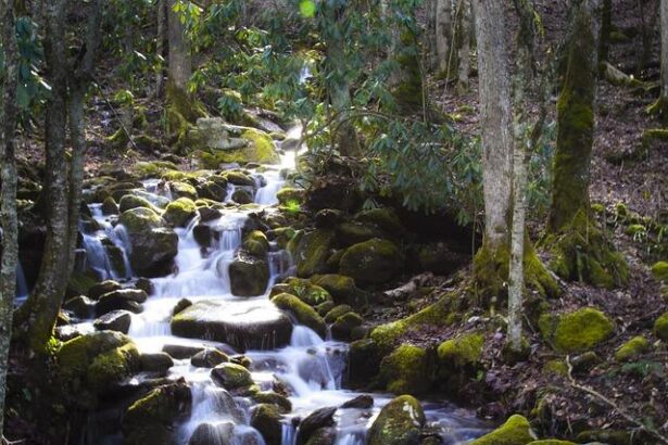 North Carolina Senator Unblocks DHS Nominees Following Approval of FEMA Funds for His State