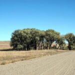 Debunking 6 Common Myths About Rural America: The Truth Behind the Stereotypes