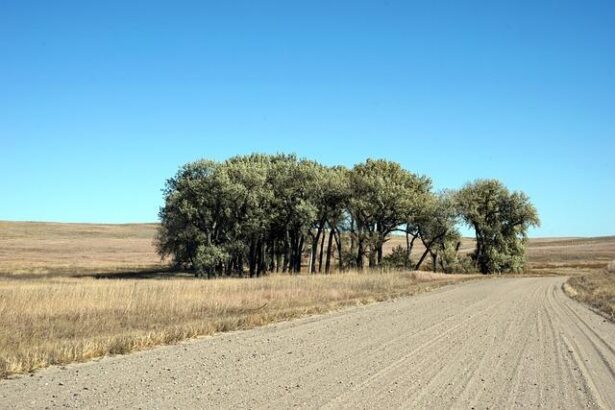 Debunking 6 Common Myths About Rural America: The Truth Behind the Stereotypes