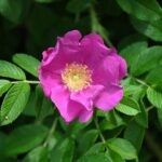 Brian Glenn and Marjorie Taylor Greene: A New Chapter in Love!