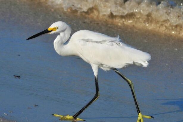 Pete Hegseth Faces Potential Investigations from Five Agencies – But Will Charges Follow?