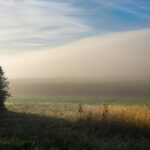 Rob Reiner’s Legacy: A True Mensch Revealing Trump’s True Colors