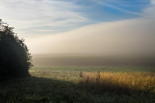 Rob Reiner’s Legacy: A True Mensch Revealing Trump’s True Colors Rob Reiner’s Legacy: A True Mensch Revealing Trump’s True Colors
