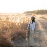 Susie Wiles Disavows Her Own On-the-Record Admissions Revealing White House Chaos