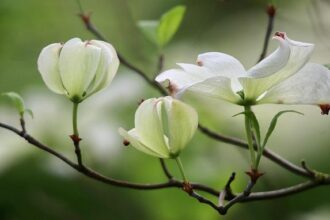 Live results: Florida holds state House special election in Mar-a-Lago district
