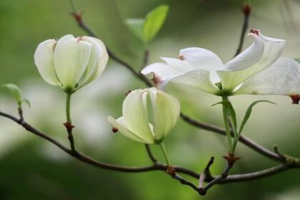 Live results: Florida holds state House special election in Mar-a-Lago district