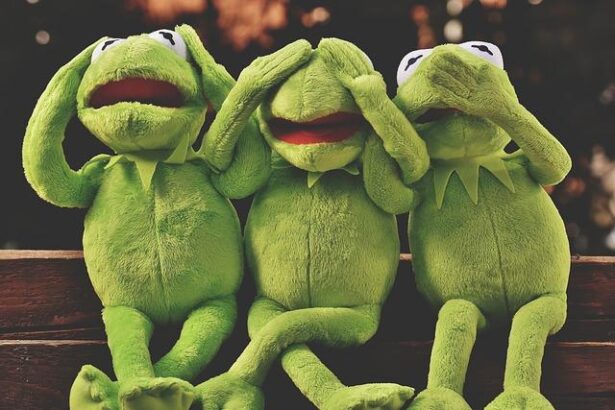 See No Kings protest photos from across the nation – The Arizona Republic