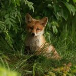 Diplomatic snub exposes the fraught U.S.-Brazil relationship in Trump’s return