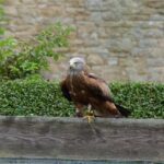 Trump’s deadline extension sends Iran a clear signal: he isn’t really serious