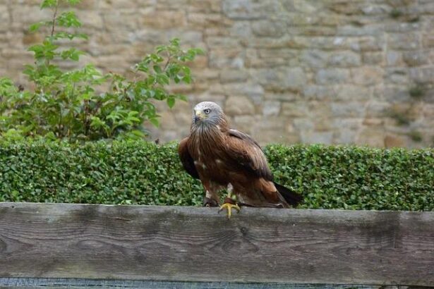 Trump’s deadline extension sends Iran a clear signal: he isn’t really serious