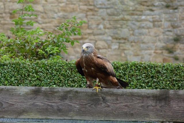 Trump’s deadline extension sends Iran a clear signal: he isn’t really serious