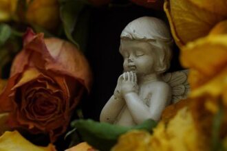 Alliance under pressure: support for action on Iran threatens NATO unity