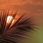 Government Shutdown Forces More Than 1,000 TSA Officers Off the Job