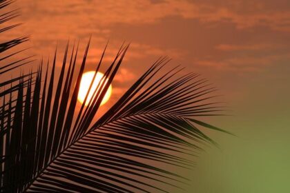 Government Shutdown Forces More Than 1,000 TSA Officers Off the Job