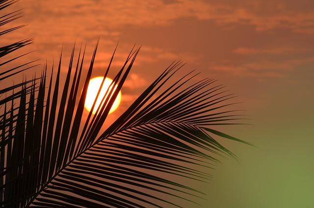 Government Shutdown Forces More Than 1,000 TSA Officers Off the Job