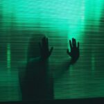 Phantom Democracies: How Demagogues and Despots Are Hollowing Out Real Democracy