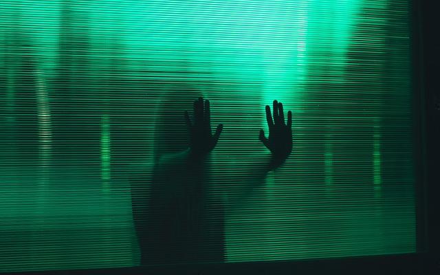 Phantom Democracies: How Demagogues and Despots Are Hollowing Out Real Democracy