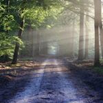 – From Hiking Path to Military Zone: An Iconic Trail Sealed Off for Trump’s Border Wall
– Iconic Trail Transformed into Military Corridor as Border-Wall Work Moves In
– Border-Wall Construction Turns Beloved Trail into a Militarized Zone
– Once a Scenic H