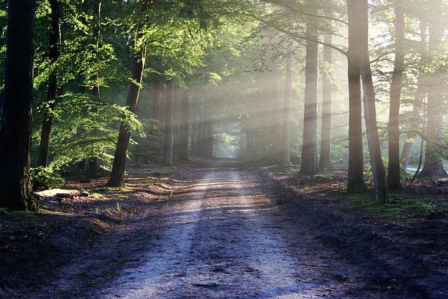 – From Hiking Path to Military Zone: An Iconic Trail Sealed Off for Trump’s Border Wall
– Iconic Trail Transformed into Military Corridor as Border-Wall Work Moves In
– Border-Wall Construction Turns Beloved Trail into a Militarized Zone
– Once a Scenic H