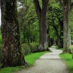 – The Art of Playing Both Sides
– Mastering the Middle: How to Play Both Sides and Win
– Two-Front Advantage: Turning Dual Loyalties into Power
– Between Two Worlds: Navigating Conflicting Allegiances
– Double Play: The Strategy of Balancing Opposing Forc