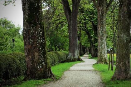 – The Art of Playing Both Sides
– Mastering the Middle: How to Play Both Sides and Win
– Two-Front Advantage: Turning Dual Loyalties into Power
– Between Two Worlds: Navigating Conflicting Allegiances
– Double Play: The Strategy of Balancing Opposing Forc