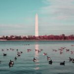 The Reflecting Pool Has Experts Stumped – No Fix in Sight