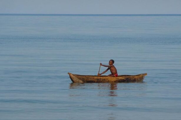 Malawi’s education choices in the wake of aid cuts