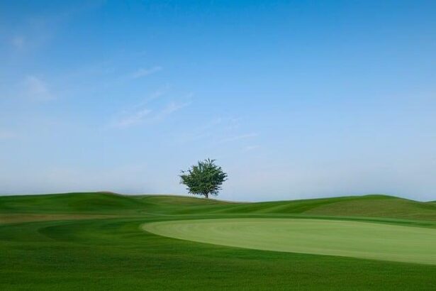 Here are several engaging rewrites (source removed) – pick the one you like best:

1. Judge Demands Answers From Trump Administration Over East Potomac Golf Course Plans  
2. Court Puts Trump Administration on the Spot About East Potomac Golf Course Propo