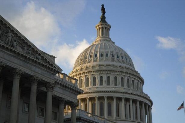 Washington DC’s physical appearance has long been a battleground for competing national ideals and presidential visions