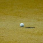 MAGA Golfer Threatened To Call Trump Amid Penalty Debate At British Open: Reports
