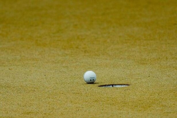 MAGA Golfer Threatened To Call Trump Amid Penalty Debate At British Open: Reports