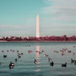 Trump says there was ‘some contractor error’ during Reflecting Pool renovation