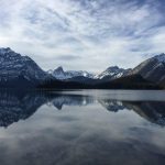 51st state of mind: As Alberta votes on independence, will Trump back separation?